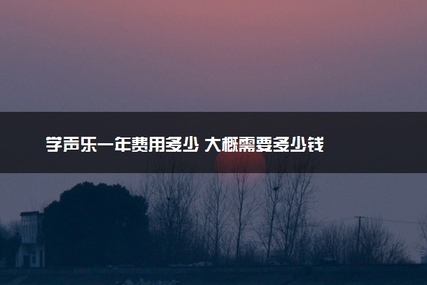 学声乐一年费用多少 大概需要多少钱