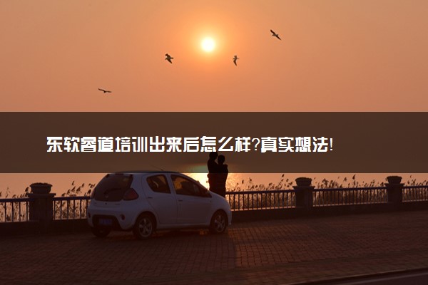 东软睿道培训出来后怎么样？真实想法！