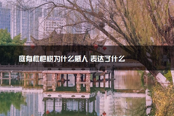 庭有枇杷树为什么感人 表达了什么