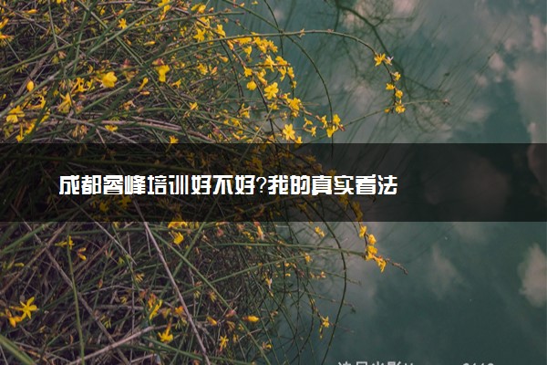 成都睿峰培训好不好？我的真实看法