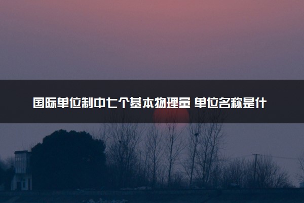 国际单位制中七个基本物理量 单位名称是什么