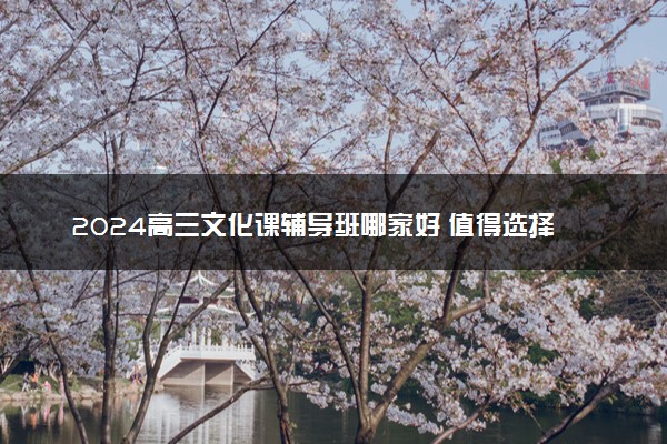 2024高三文化课辅导班哪家好 值得选择的培训学校