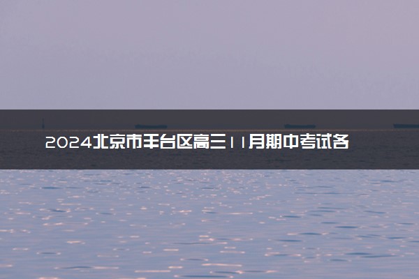 2024北京市丰台区高三11月期中考试各科试题及答案汇总
