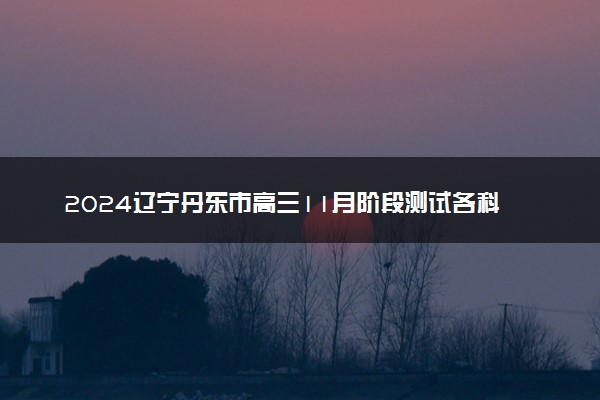 2024辽宁丹东市高三11月阶段测试各科试题及答案汇总