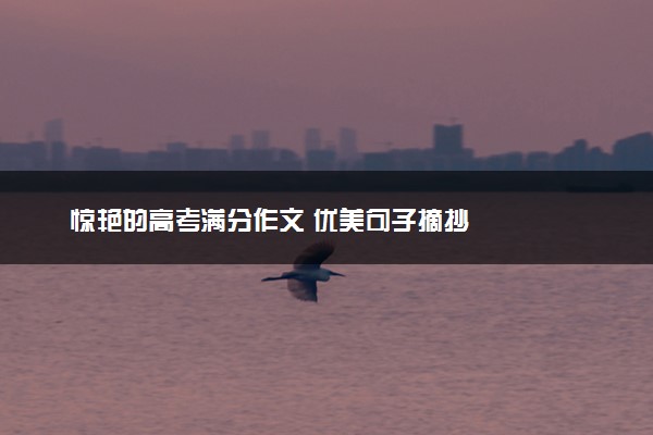 惊艳的高考满分作文 优美句子摘抄