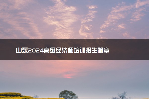 山东2024高级经济师培训招生简章