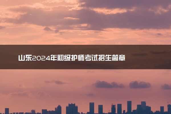 山东2024年初级护师考试招生简章