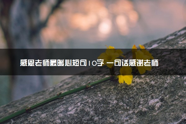 感恩老师最暖心短句10字 一句话感谢老师的辛苦