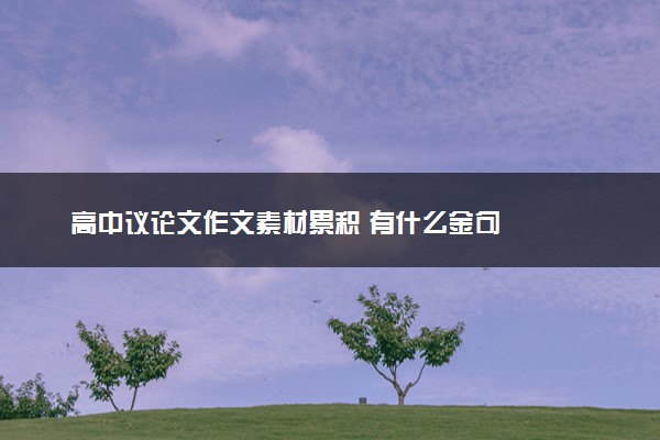 高中议论文作文素材累积 有什么金句