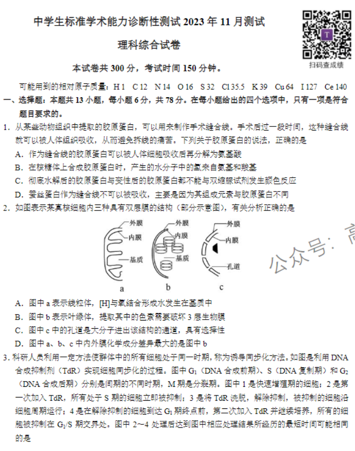 2024THUSSAT高三11月诊断性测试理综试题及答案解析