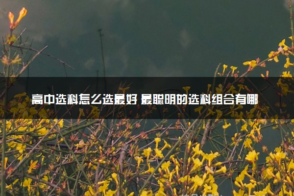 高中选科怎么选最好 最聪明的选科组合有哪些