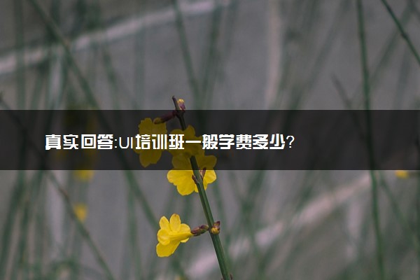 真实回答：UI培训班一般学费多少？
