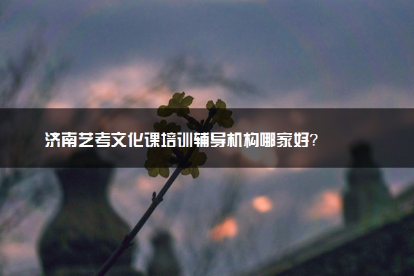 济南艺考文化课培训辅导机构哪家好？