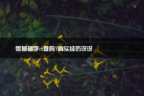 零基础学it难吗？真实经历说说