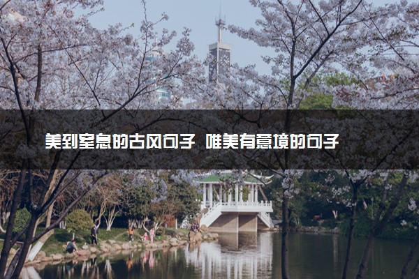 美到窒息的古风句子  唯美有意境的句子