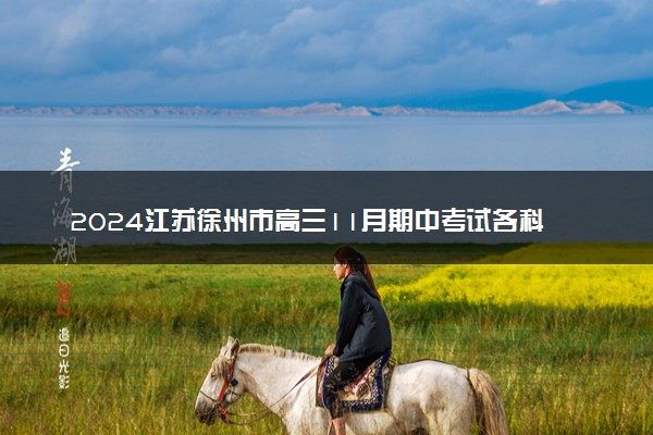 2024江苏徐州市高三11月期中考试各科试题及答案汇总