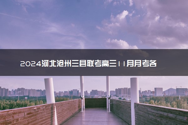 2024河北沧州三县联考高三11月月考各科试题及答案汇总