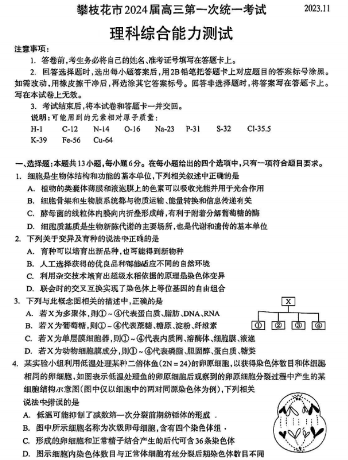 四川攀枝花2024高三11月一统考试理综试题及答案解析