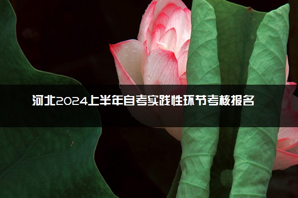 河北2024上半年自考实践性环节考核报名时间 几号截止报名