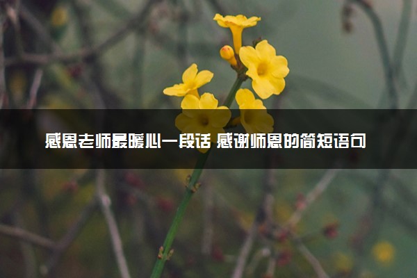 感恩老师最暖心一段话 感谢师恩的简短语句
