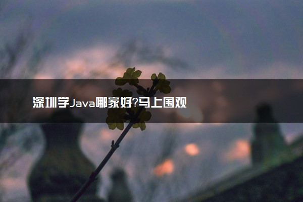 深圳学Java哪家好？马上围观
