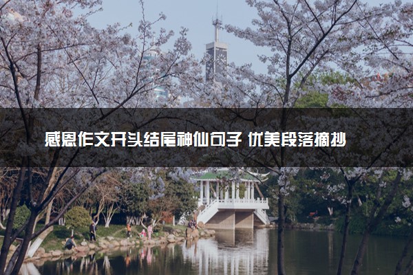 感恩作文开头结尾神仙句子 优美段落摘抄
