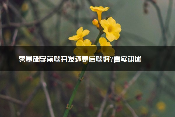 零基础学前端开发还是后端好？真实讲述