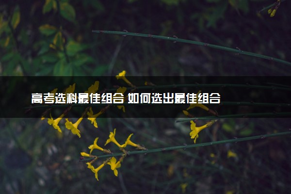 高考选科最佳组合 如何选出最佳组合