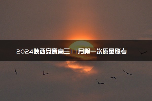 2024陕西安康高三11月第一次质量联考各科试题及答案汇总