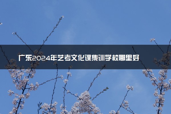 广东2024年艺考文化课集训学校哪里好