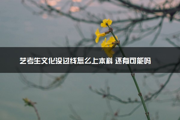 艺考生文化没过线怎么上本科 还有可能吗