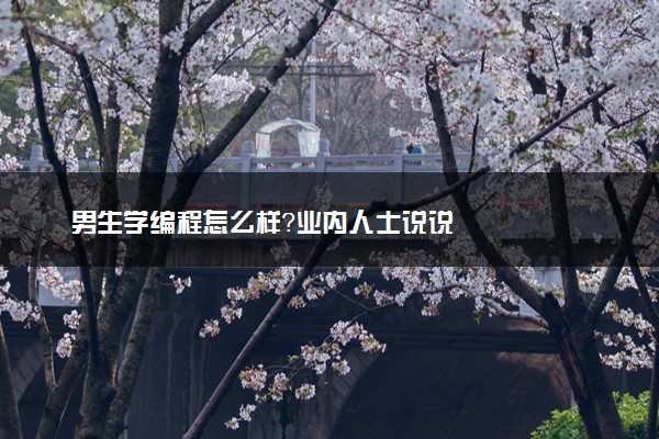 男生学编程怎么样？业内人士说说