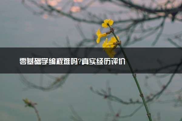 零基础学编程难吗？真实经历评价