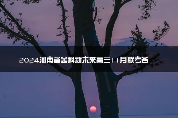 2024河南省金科新未来高三11月联考各科试题及答案汇总