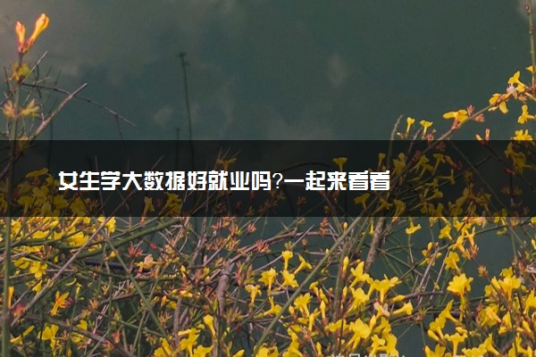女生学大数据好就业吗？一起来看看