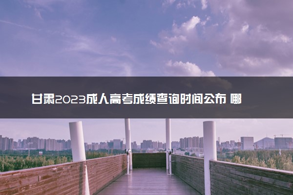甘肃2023成人高考成绩查询时间公布 哪天开始查询