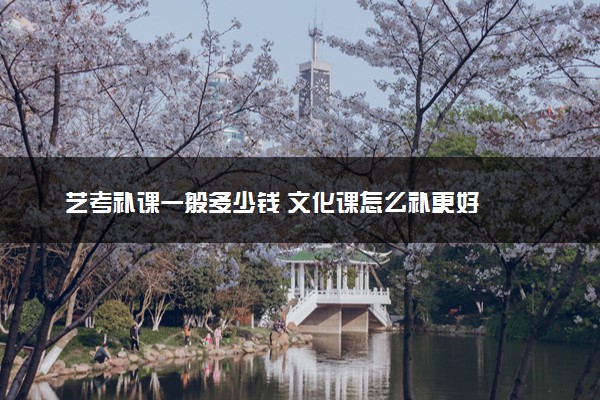 艺考补课一般多少钱 文化课怎么补更好