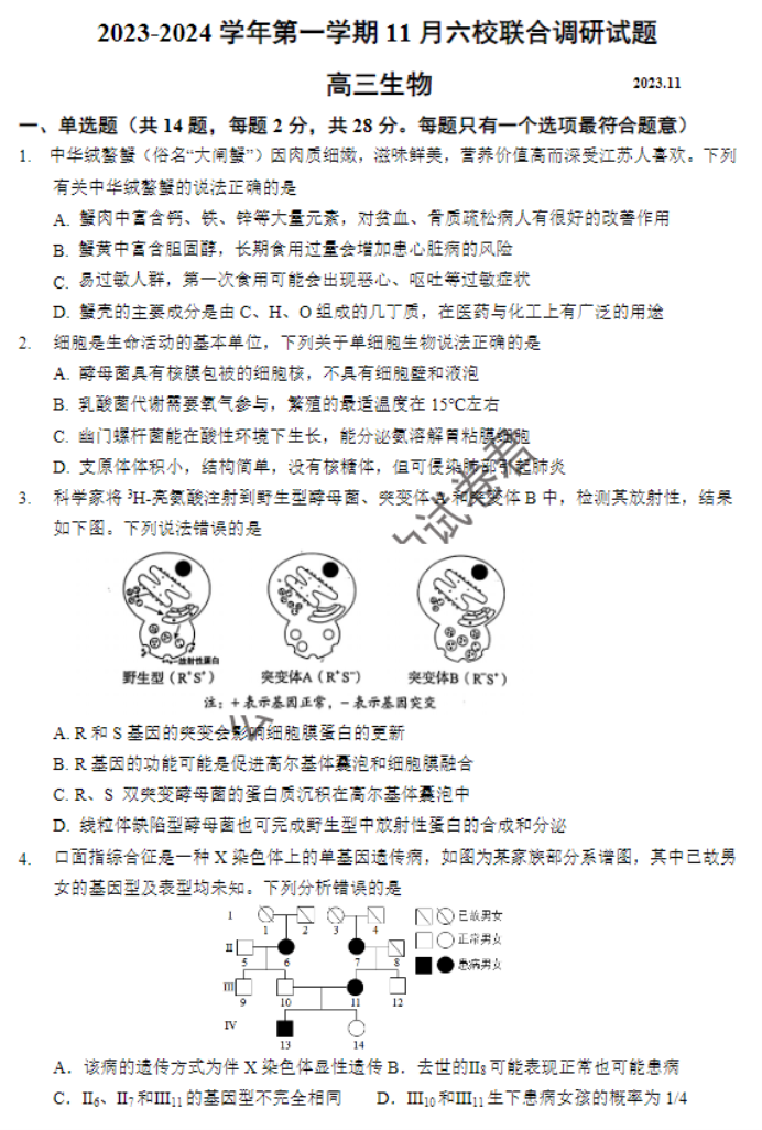 江苏南京市六校2024高三期中联合调研生物试题及答案解析