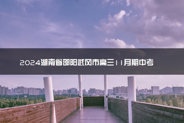 2024湖南省邵阳武冈市高三11月期中考各科试题及答案汇总