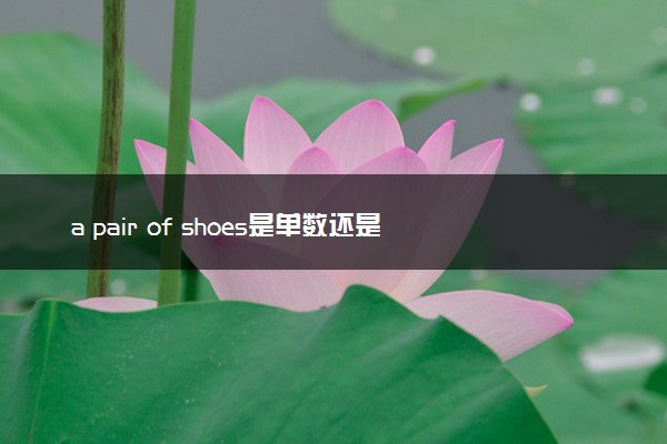 a pair of shoes是单数还是复数