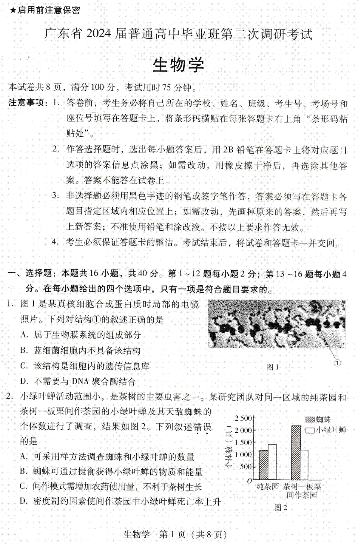 广东省普通高中毕业班2023-2024学年高三上学期第二次调研考试生物试题