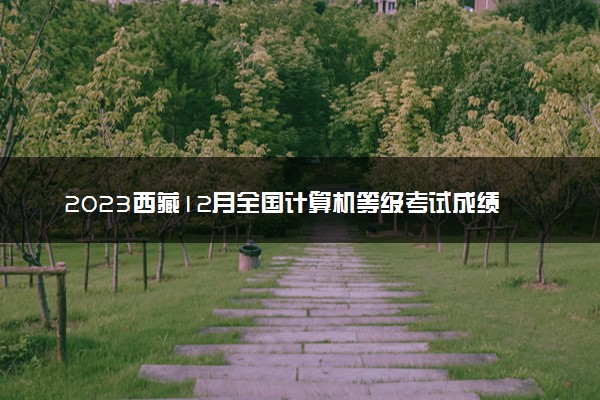2023西藏12月全国计算机等级考试成绩查询时间 多久出分