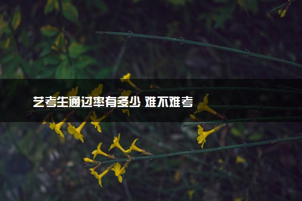 艺考生通过率有多少 难不难考