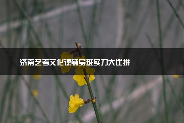 济南艺考文化课辅导班实力大比拼
