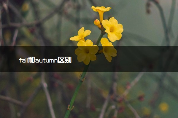 fall和autumn区别