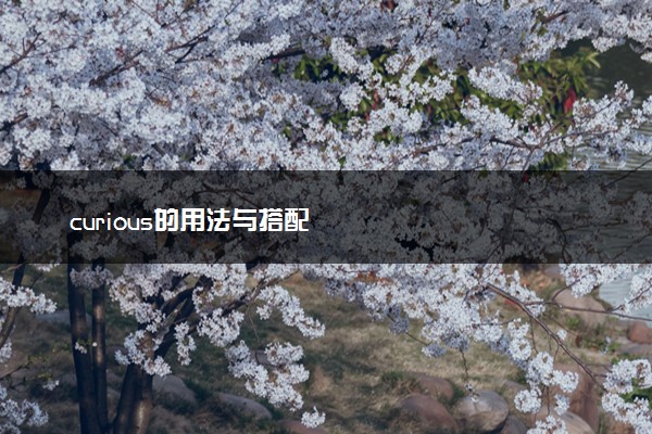 curious的用法与搭配