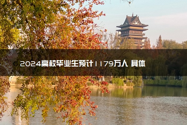 2024高校毕业生预计1179万人 具体是什么情况