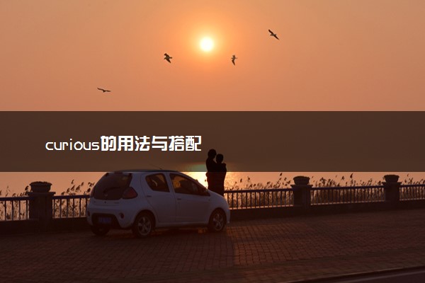 curious的用法与搭配