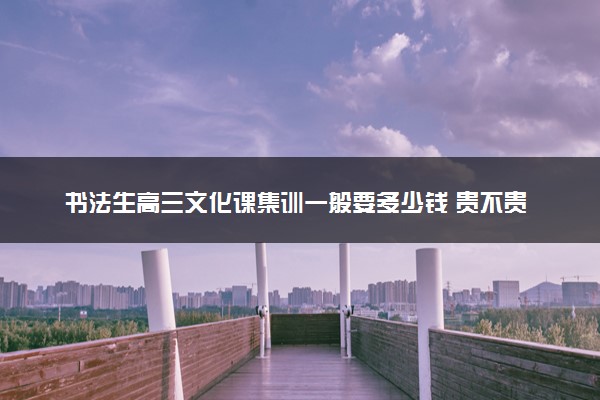 书法生高三文化课集训一般要多少钱 贵不贵