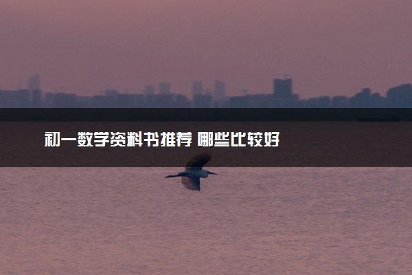 初一数学资料书推荐 哪些比较好